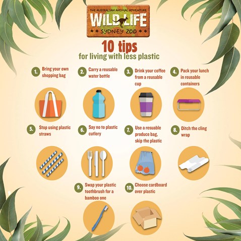 Wls Living With Less Plastic3