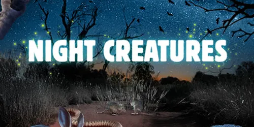 WL Nightcreatures 480X442px