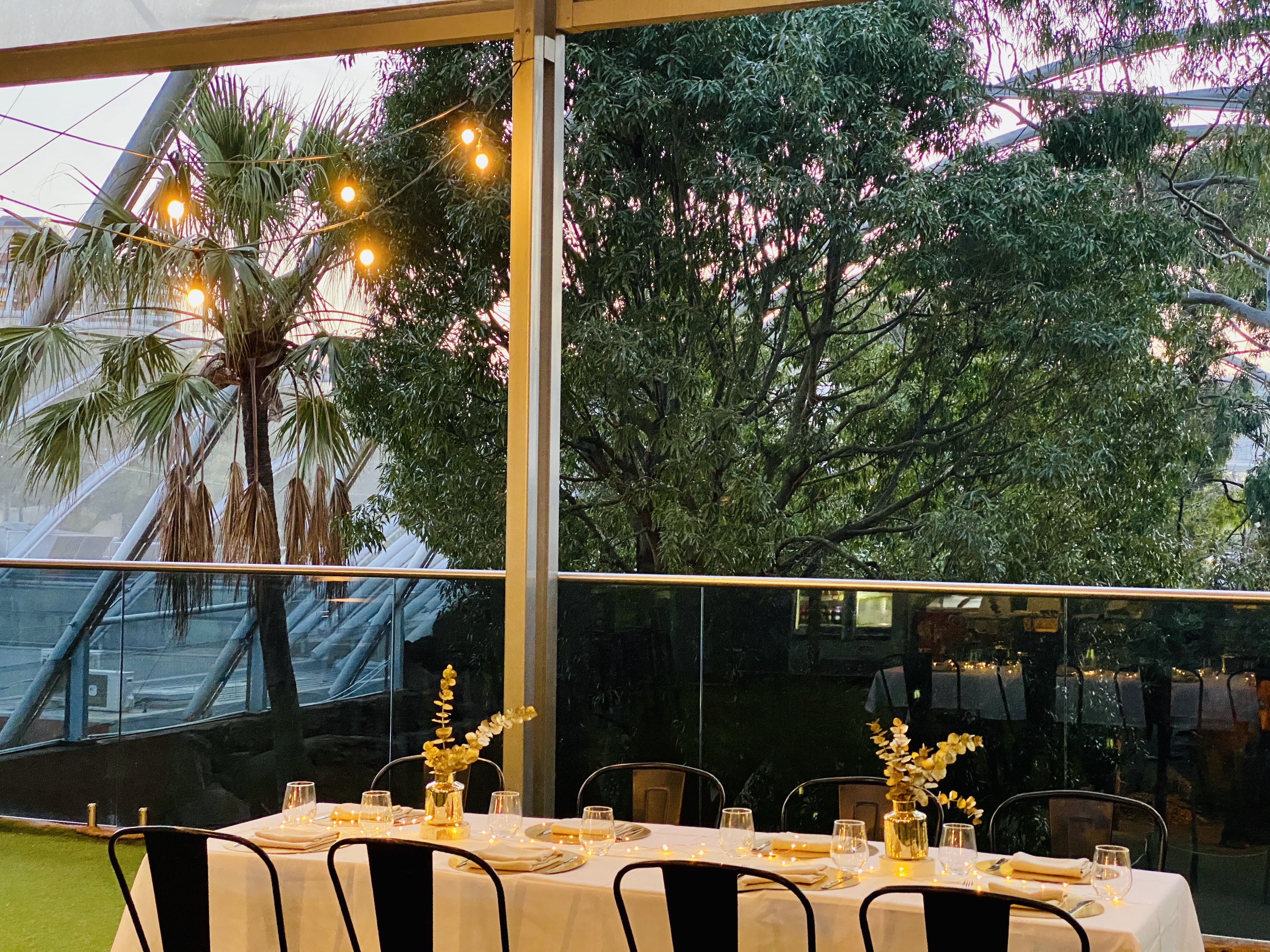 WILD LIFE Sydney Zoo Private Dining On The Koala Rooftop 5