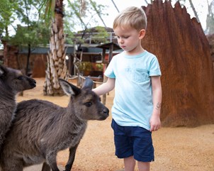 child patting a kangaroo