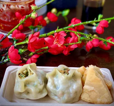 WLS Dumplings Food 1 Cropped