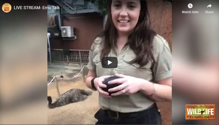 Emu Talk