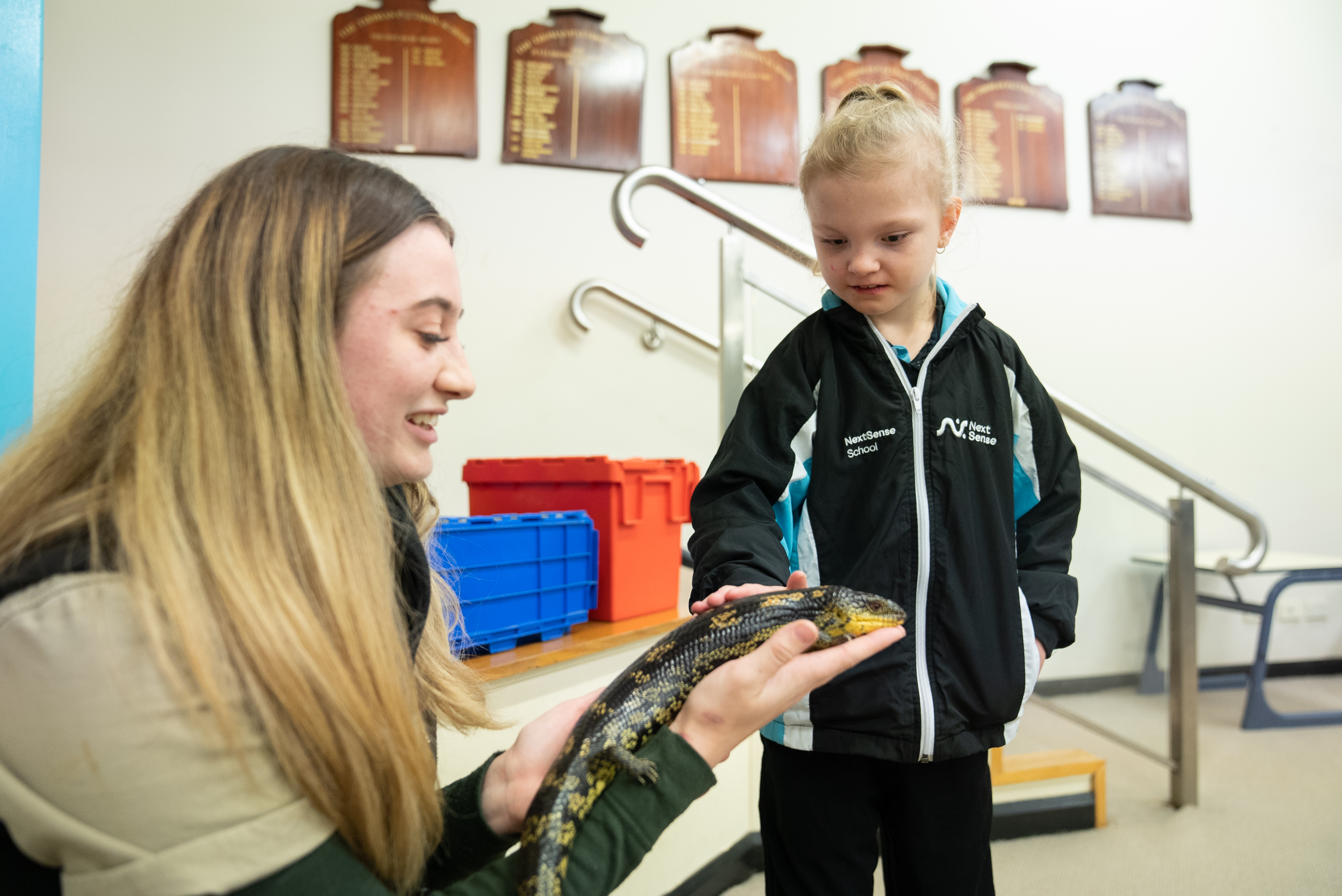 Student From Nextsense With Hans The Blue Tongue 3