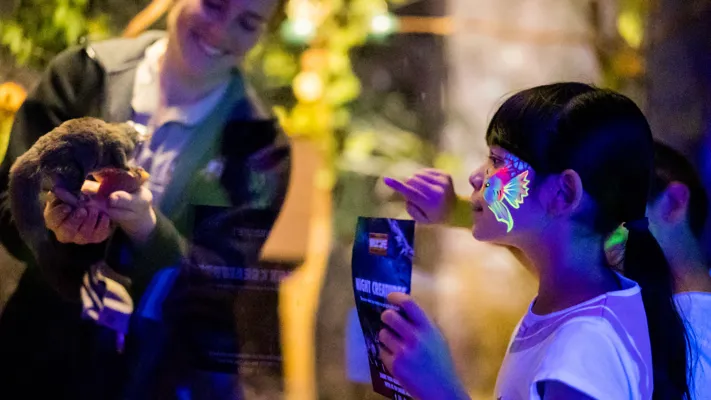 WLSZ Night Creatures 4