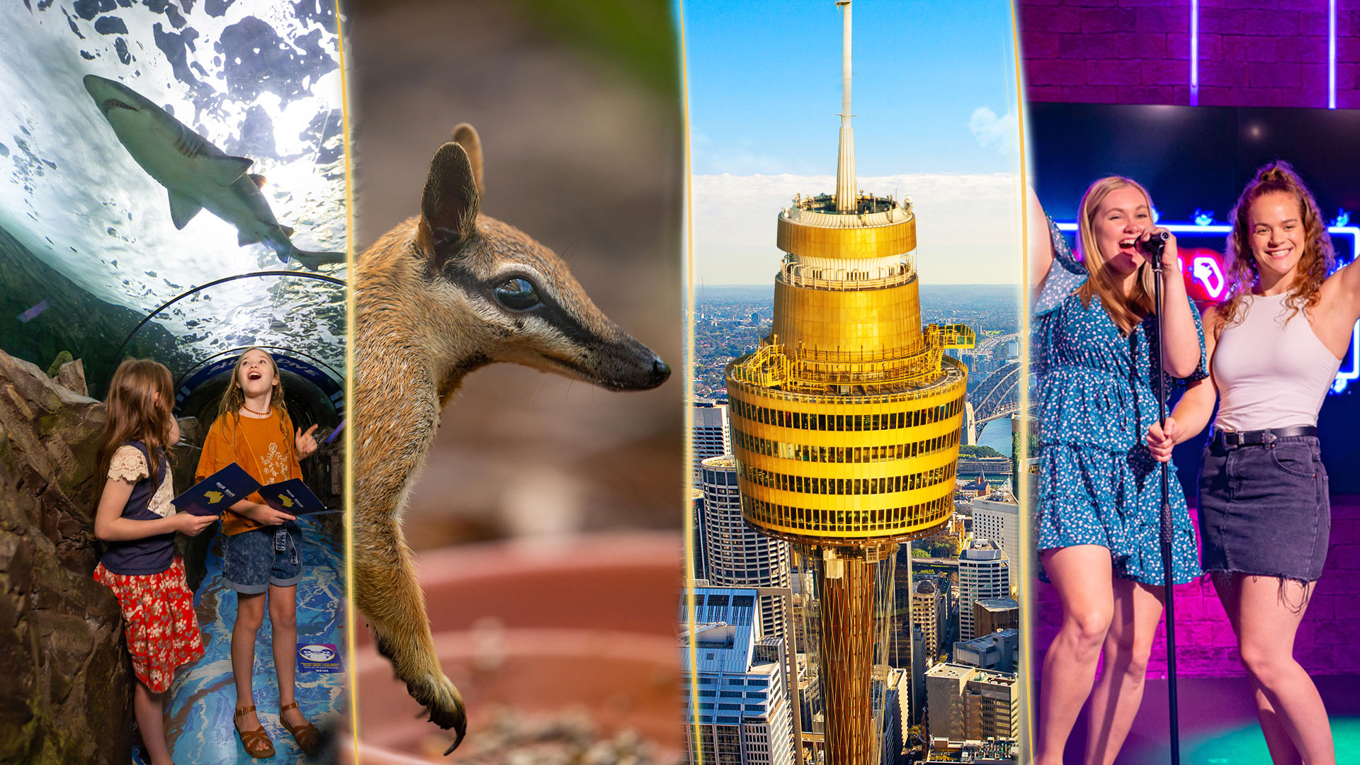 Sydney Attractions - visit all four must see Sydney attractions: SEA LIFE Aquarium, Wild Life Zoo, Sydney Tower, and Madame Tussauds - KKDay 9 Best Family Attractions in Sydney
